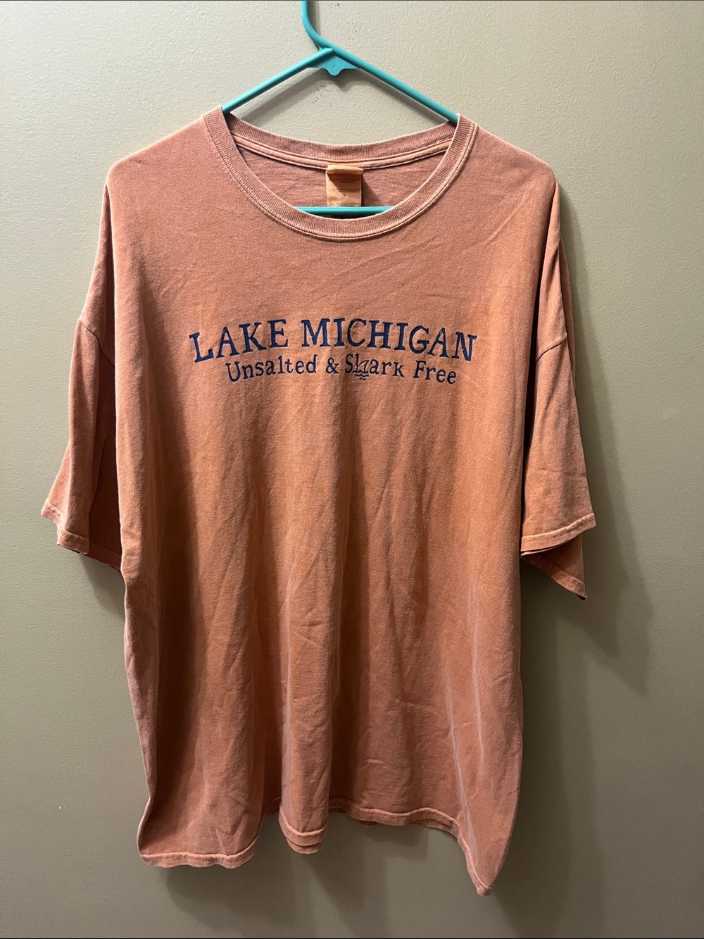 Unsalted and Shark Free Lake Michigan Gildan Rust Orange Short-Sleeve Tee